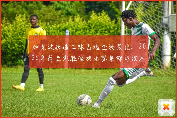 加克波独造三球当选全场最佳：2026年荷兰完胜瑞典比赛集锦与技术统计