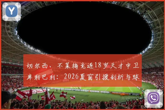 切尔西、不莱梅竞逐18岁天才中卫库利巴利：2026夏窗引援剖析与球员实力前瞻