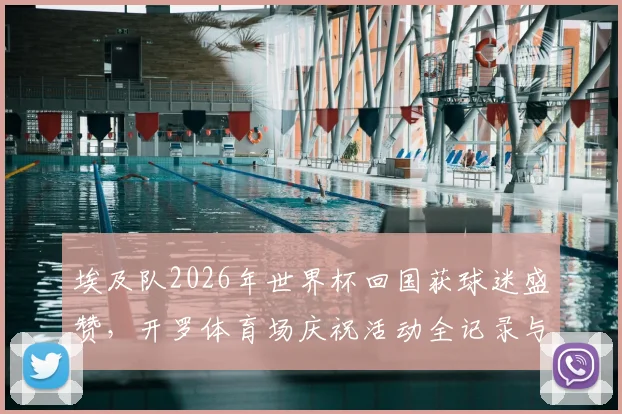 埃及队2026年世界杯回国获球迷盛赞,开罗体育场庆祝活动全记录与未来展望